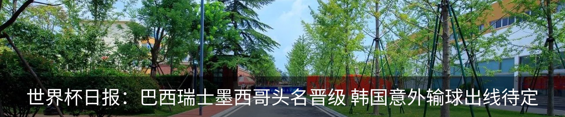 新闻中心