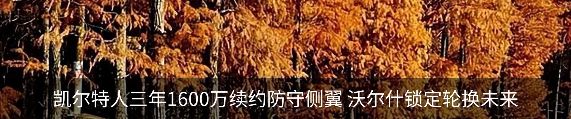 新闻中心