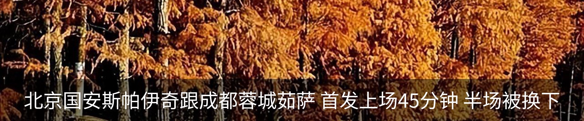 新闻中心
