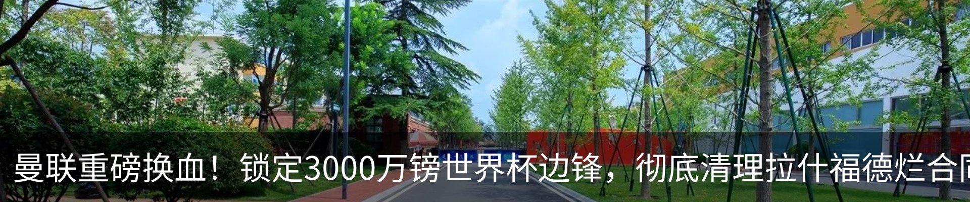 新闻中心