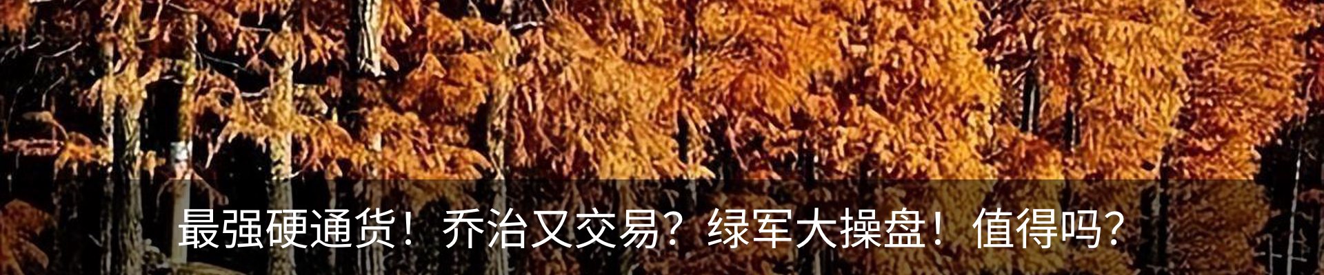 新闻中心