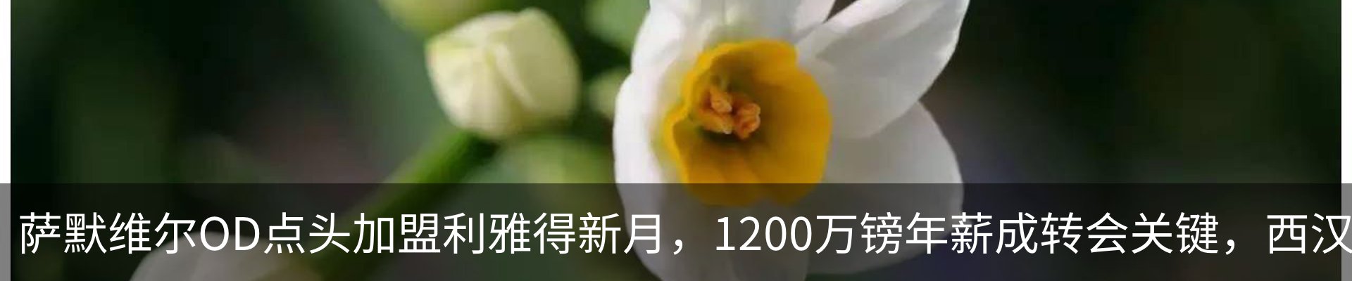 新闻中心