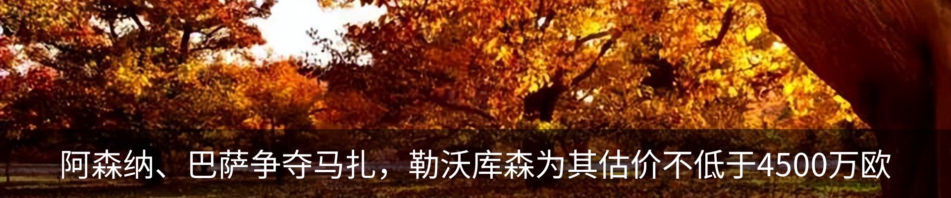 新闻中心