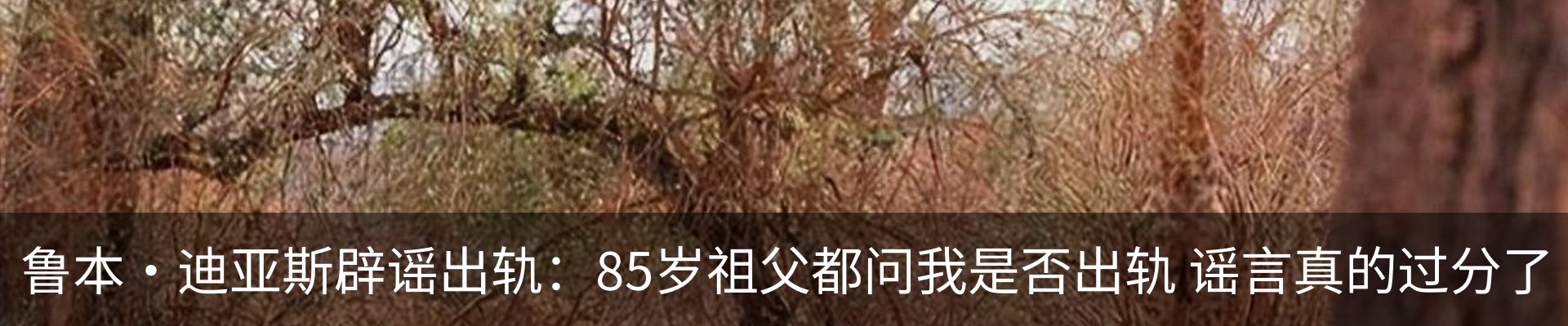 新闻中心